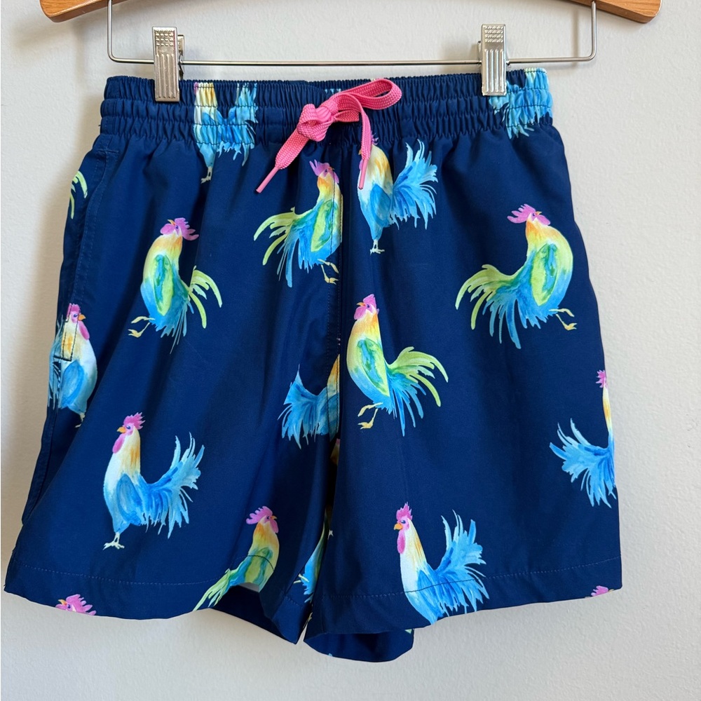 Chubbies Classic Swim Trunks Size XS